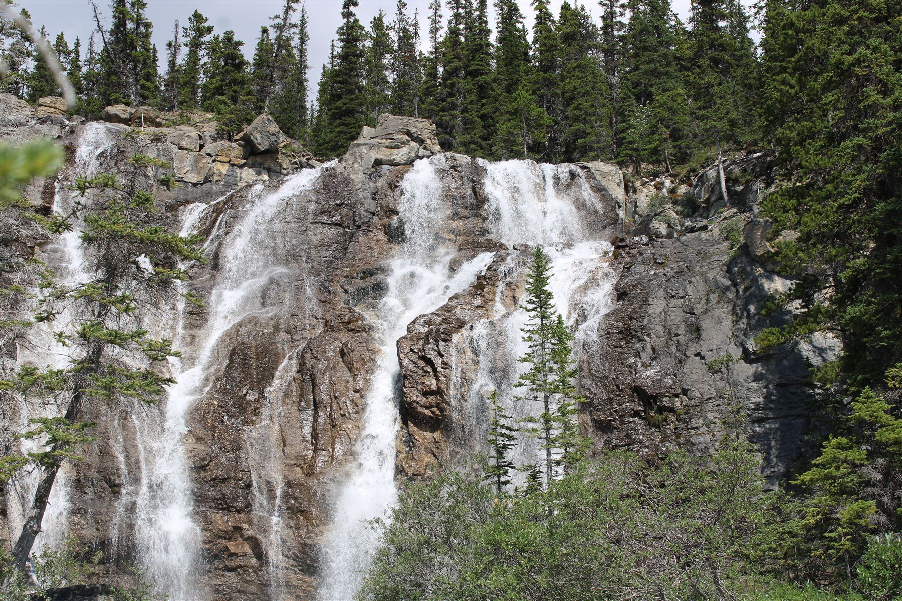 Tangle Creek Falls on the Icefields Parkway